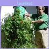 Sturdy Hanging Planter Bag For Tomatoes Strawberries Balcony And Home Gardening