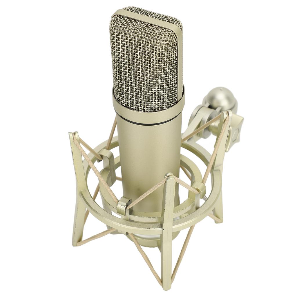 Studio Condenser Microphone Metal Wired Cardioid Condenser Microphone for Vocal Recording