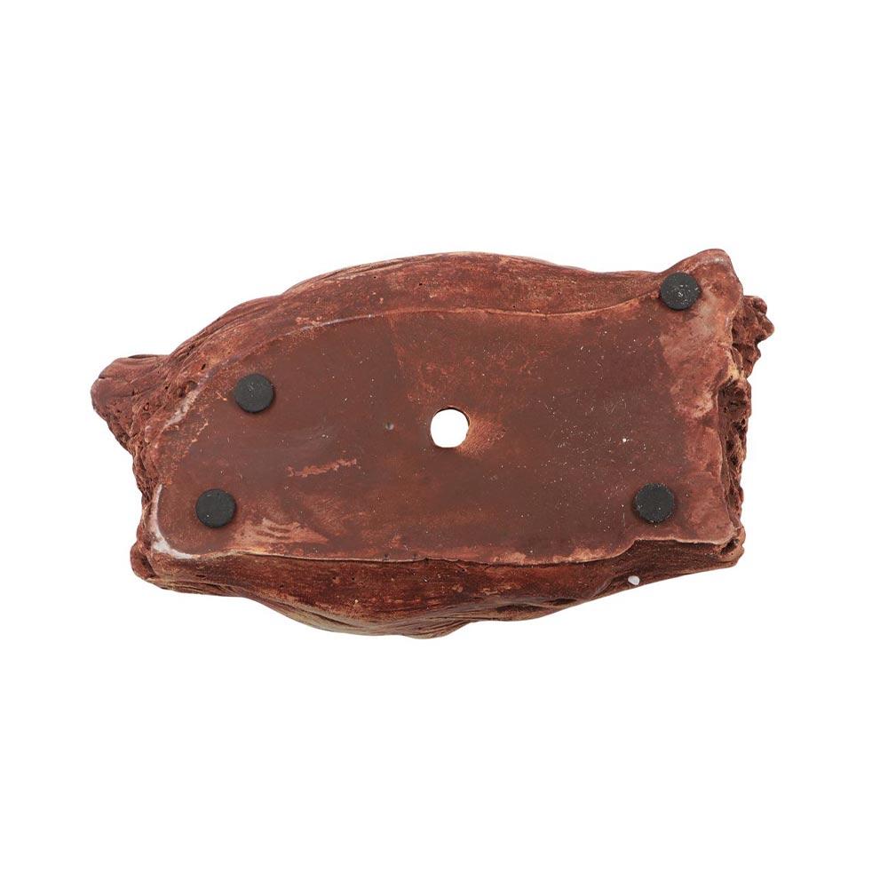 Kreativ Håndlaget Innendørs Hageutstyr Tre Rotstubbe Bonsai Blomsterpotter Plantekasser Blomsterpotte