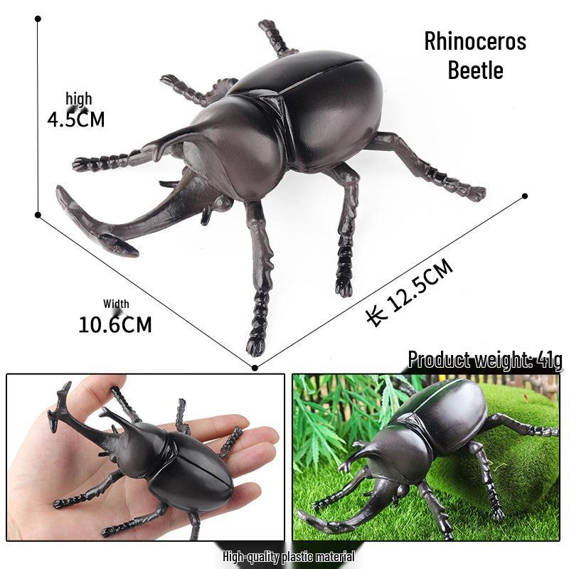 Rhinoceros Beetle Growth Cycle Simulation Toy for Kids