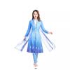 Frozen 2 Dress Adult Elsa Ice Princess Dress Elsa Full Dress Princess Anna