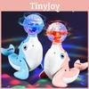 Light Up Dolphin Toy With Sound And Light For Kids Play And Development