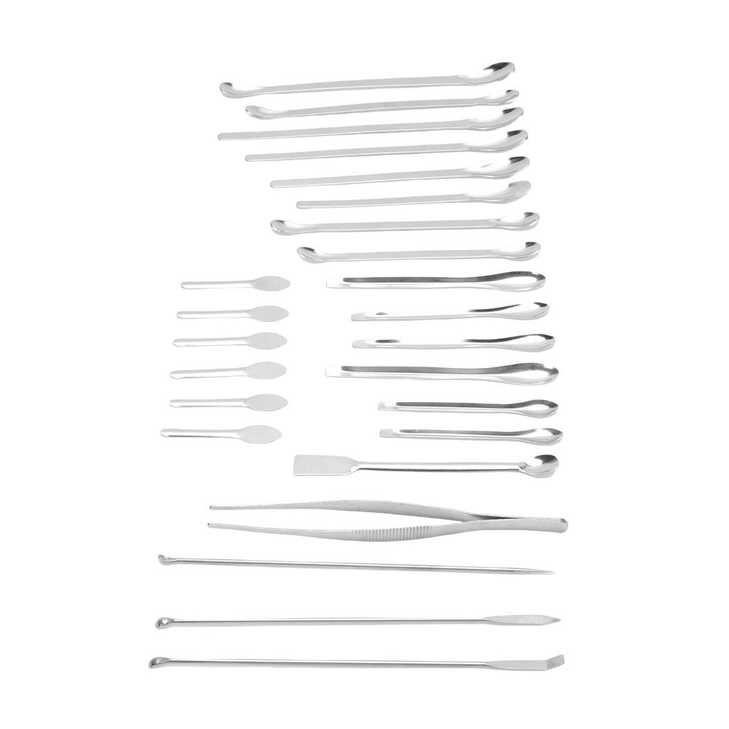 25Pcs Laboratory Spoon Spatula Tweezers Set 304 Stainless Steel Long Handle Multifunctional Laboratory Sampling Scoop