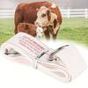 Decor PVC Fiberglass Cattle Weighing Tape Measure - Livestock Weight Estimation Ruler, Portable Cow Measurement Tool for Farm Handling Supplies