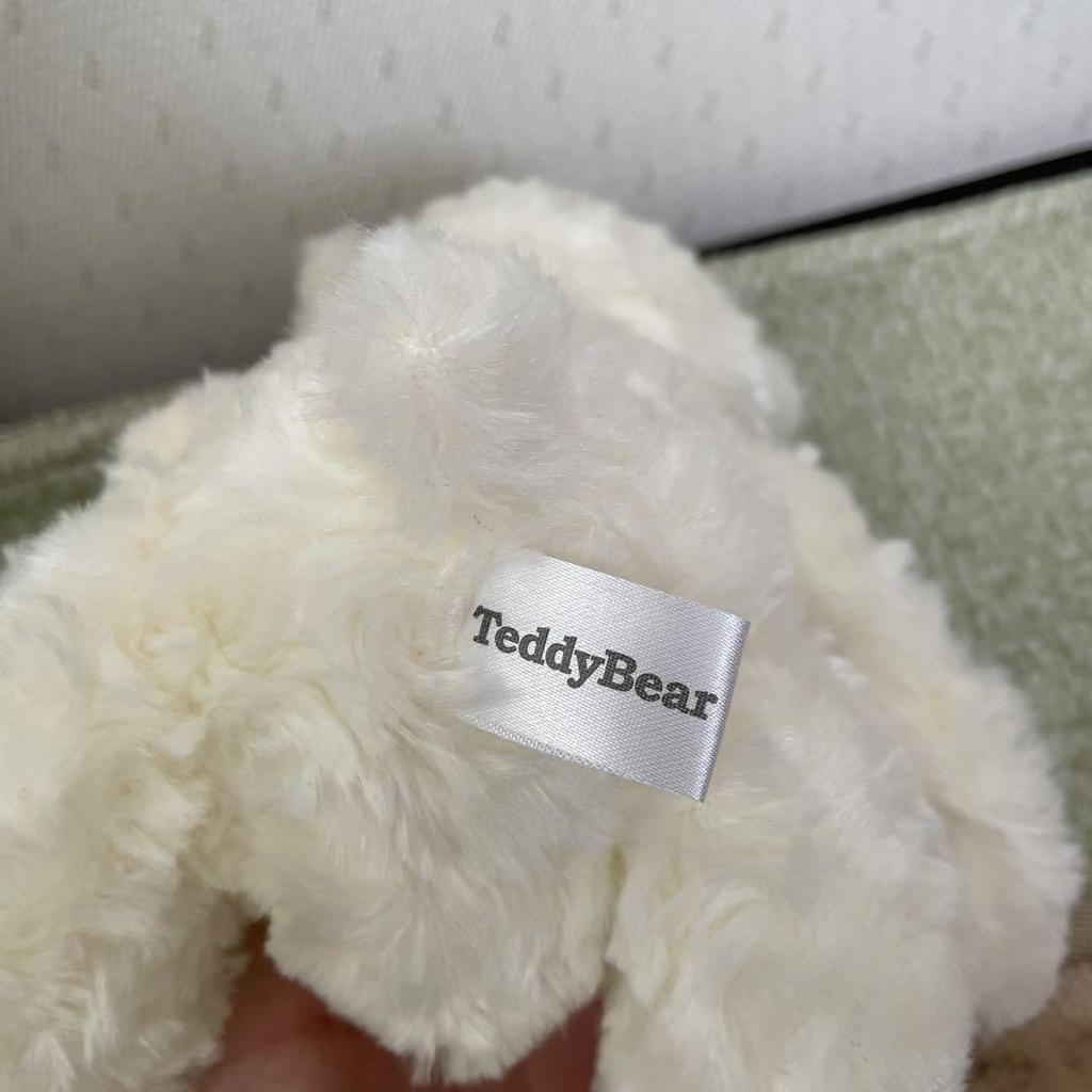 [USED] White teddy bear