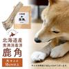 Maruichi Okada Shoten Deer Antler Dog Hokkaido (Large)
