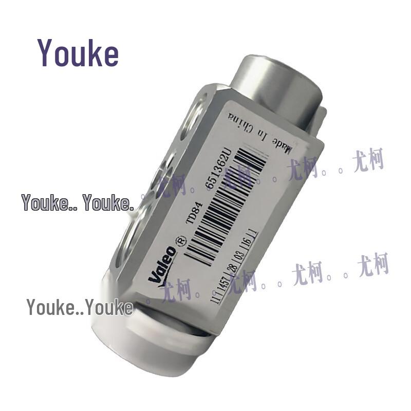 Youke Expansion Valve