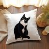 Black Cat Realistic Print Peach Skin Velvet Pillow Cover, Contemporary Style Case For Car Sofa Living Room Decor No Insert