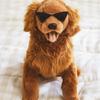 [Pet] Triangular Sunglasses