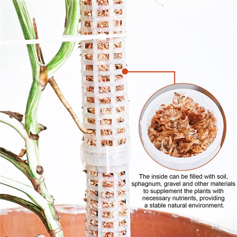 Moss Pillar Moss Scaffold Plant Climbing Stereotype Column High Quality Plant Climbing Fixed Column