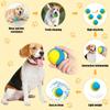 Dog Toy Ball Squeaky Interactive Dog Toy Pet Dog Ball for Large and Medium Dogs Play and Training 2.5 Inch Easy Catch Dog Toy