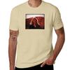 Ty Segall Manipulator T-Shirt blacks for a boy workout shirts