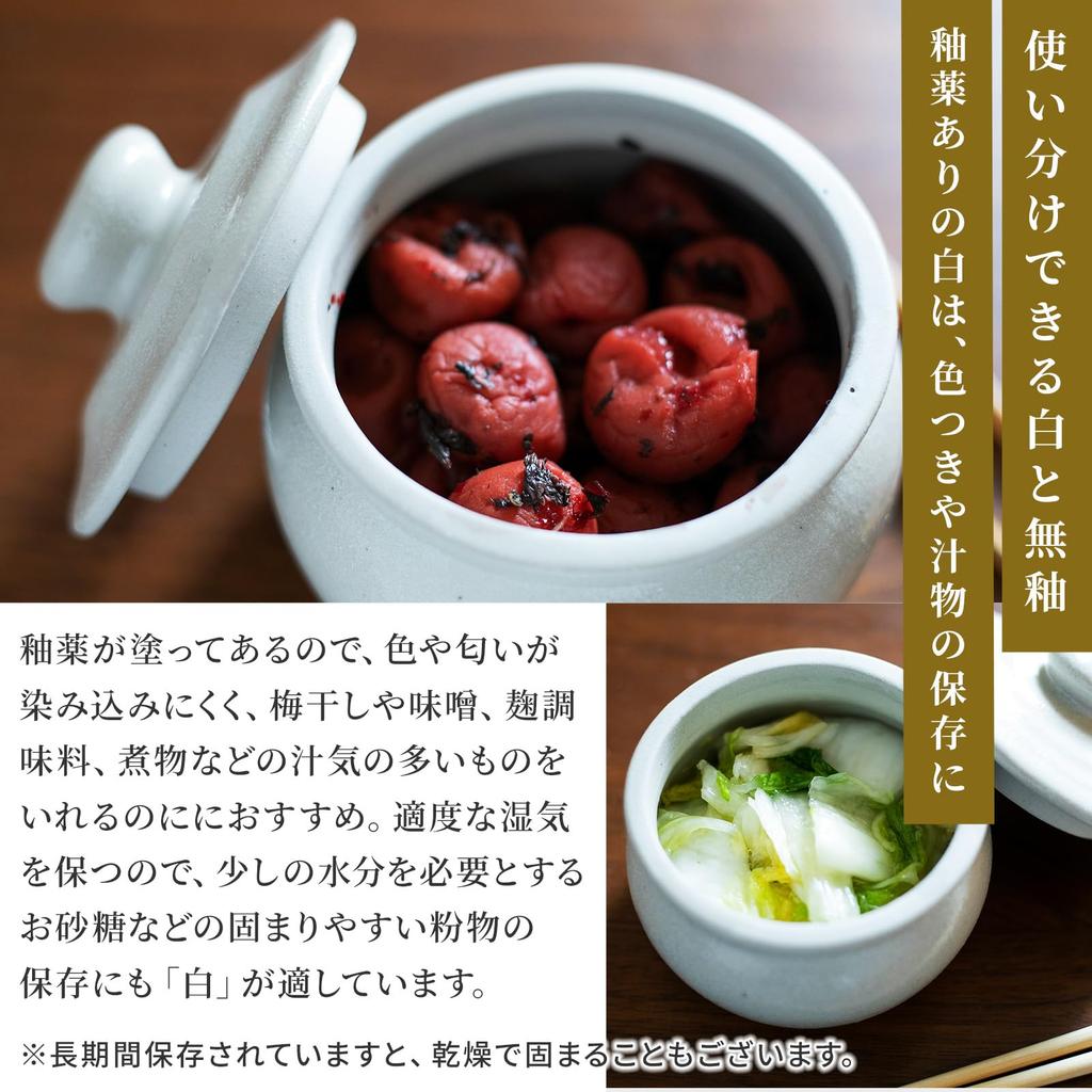 Yamanaka Pottery Zelkova Kiln Jar with Lid Japanese Pottery Storage Canister Made in Takada Diatomaceous Negative Umeboshi Tea Tea Leaves (White -