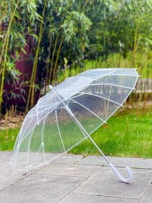 Paraguas Transparente Automático Artsy de 16 Varillas para Fiestas de Hombres y Mujeres