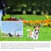 Chew Squeaky Dog Ball Toy For Small Large Dogs Interactive Improve IQ Teeth Cleaning Puppy Toys French Bulldog Pug Pet Supplies