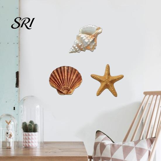 Accroche Murale Rustique 3 Pièces Décor Plage Coquillage Étoile de Mer en Bois Décoration Côtière Maison Art Océanique Nautique pour Salon Salle de Bain Balcon Thématique