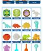 Children's Foldable Beach Toy Set: Bucket, Shovel, Sand Timer, and Digging Tools for Sand and Water Play
