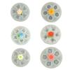 Food Grade Silicone Flower Mold For Cake Decorating Jewelry Making With Daisy Rose Lotus Chrysanthemum Peony Camellia Design