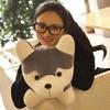 Cute Bell Husky Doll Plush Toy for Children and Girls Holiday Gift Can Be