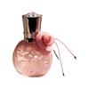Cross Lace Rose Women's Perfume 60ml - Long-lasting Fresh Floral Fruity Scent, Temptation of Love Goddess Fragrance