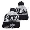Lion Rugby Knit Hat, Dolphin Outdoor Warm Sun Hat, 49ers Hip Hop Ear Protection Hat
