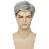 Short Silver Grey Synthetic Wigs Heat Resistant Fiber Hair Wig For Men Daily Halloween