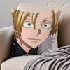 Mystical Japanese Anime Y-Yomi No Tsukai Cushion Cover Pillowcase Anti-Dustmite Invisible Zipper Short Plush Sofa Cushion