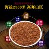Black Tartary Buckwheat Herbal Tea 500g Natural Roasted Energy Drink for Men
