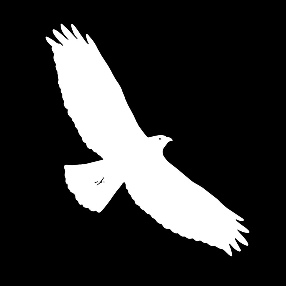 Majestic Eagle Raptor Bird Pair Vinyl Decal, Wildlife Nature Sticker for SUV Truck Motorcycle, Waterproof Auto Exterior Decor 17X20CM белый