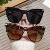 Stylish Personality Classic Street Style Sunglasses Women Men For Daily Life Street-Photography Musical Festival Eyeglasses