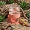 Plastic Reptiles Water Feeder Detachable Turtle Water Bowl Automatic Water Dish  Tank Landscape