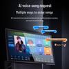SAST All-in-One KTV Karaoke Audio System