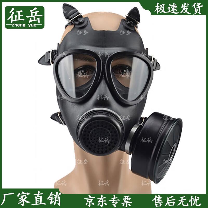 Zhengyue FNJ05 Head-Mounted Respirator Kit