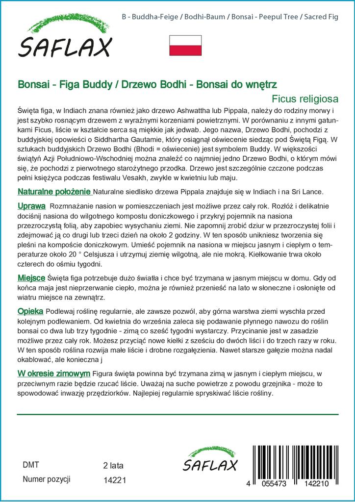 SAFLAX Bonsai - Peepul Tree / Sacred Fig - 100 Seeds - Ficus Religiosa