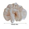 Professional Hair Clip Large Size Back of Head Bun Hairgrips  For Female Girl Lady Women