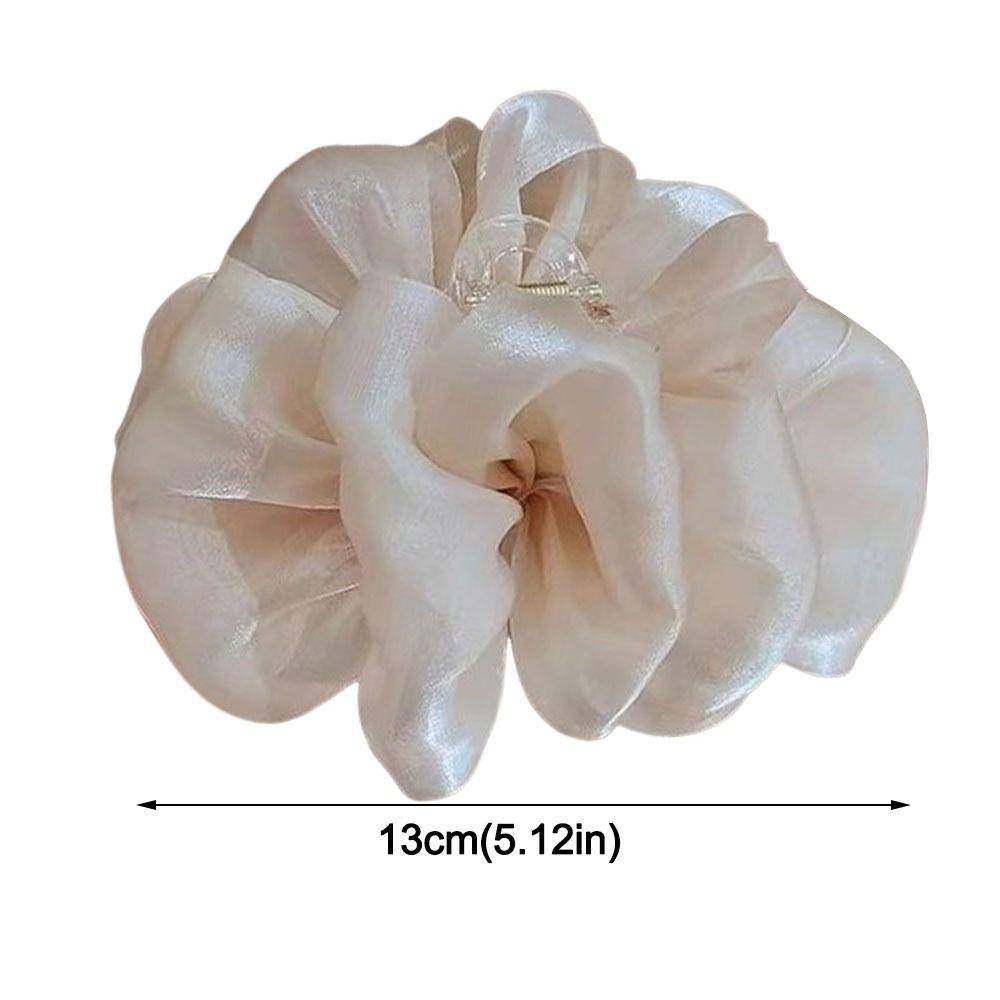 Professional Hair Clip Large Size Back of Head Bun Hairgrips  For Female Girl Lady Women