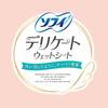 Sofy Delicate Wet 10 Sheets Million Ryo Soap Wipes, Flushable, + Lottery, Palm-Sized, Alcohol-Free, Paraben-Free (2 Sheets, Scent)