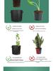 Thickened Non-Woven Seedling Bag for Planting - 3 Gallon Fabric Pot for Trees and Flowers