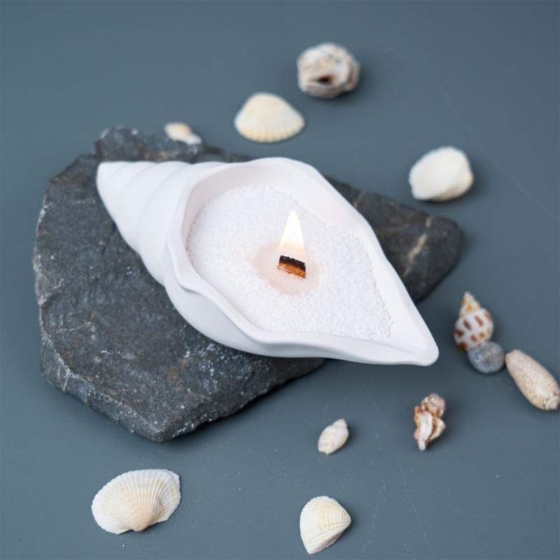 Conch Candle Jar Molds Casting Molds Jewelry Storage Box Silicone Mould Ornament Molds Plasters Molds Epoxy Resin Molds