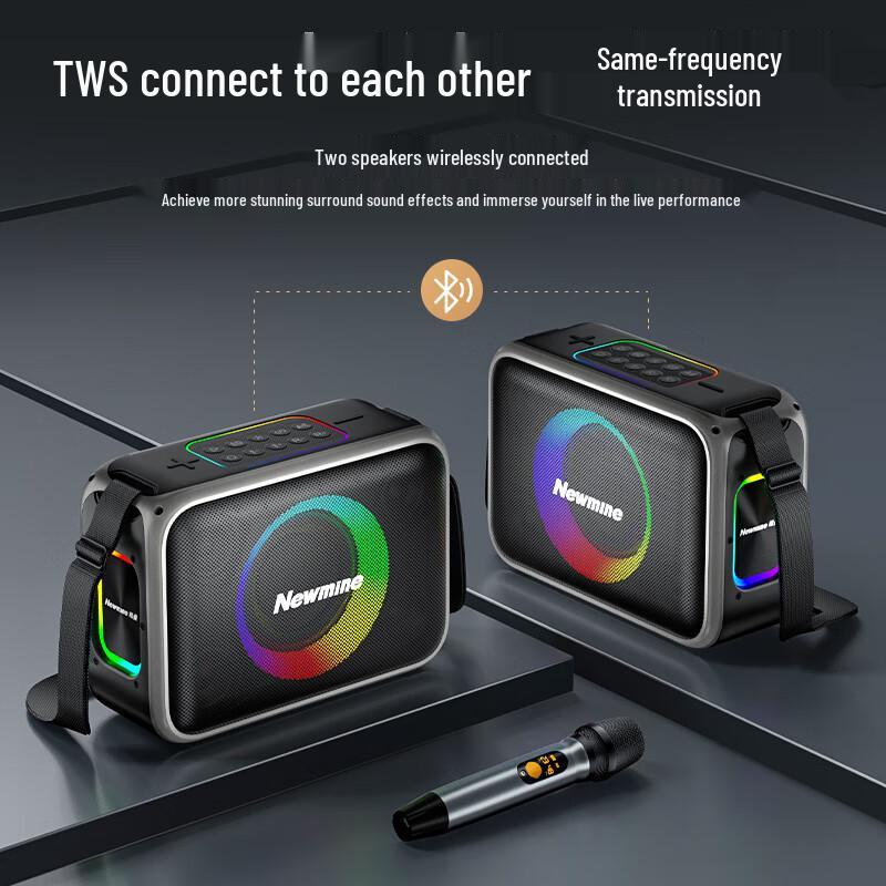 Newsmy MC98 Portable Outdoor KTV Bluetooth Speaker CN plug (adapter included)