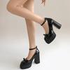 White French Retro Thick Heel High Heels Women's 2025 New Summer with Skirt Bow Mary Jane Single Shoes