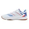 Li Ning Rocket Family, Haidongqing Collection, Quick Start Slip Resistant Lightweight Rebound Low top Badminton Shoes AYTU041-4
