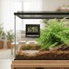 Magnetic Reptile Thermometer High Accurately Feeding Box Thermometer  Reptile Terrarium