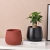 Modern Ceramic Flower Pot with Tray