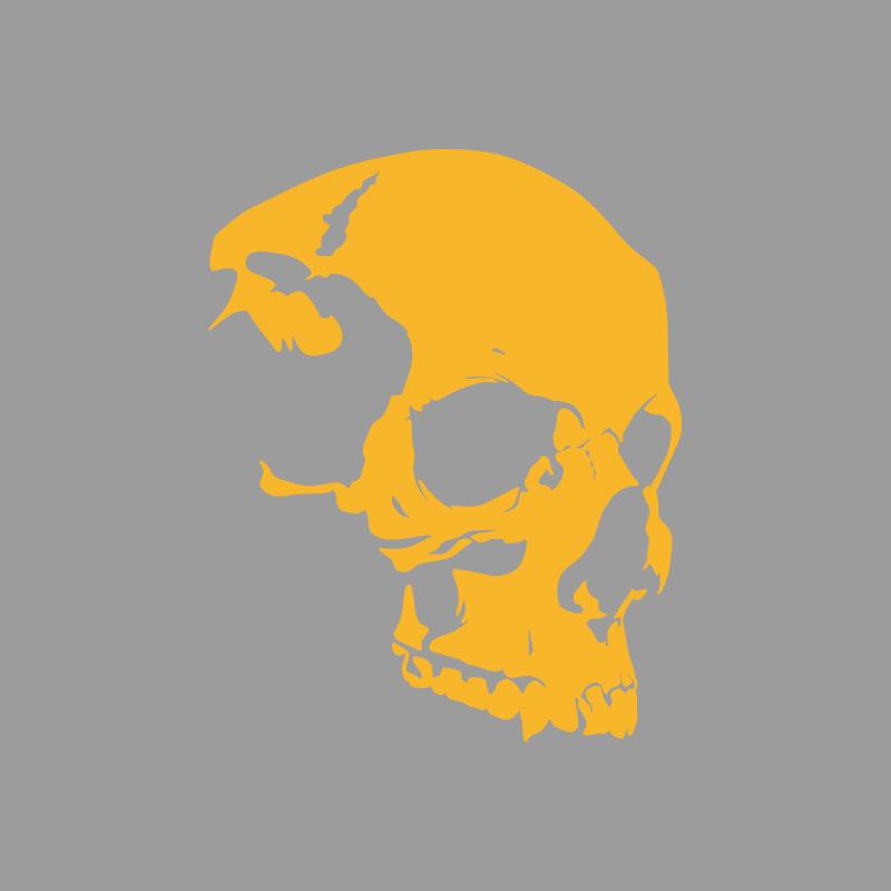 Craniu schelet cu textură avansată, modele aventură în aer liber, autocolante aventură în aer liber, decorațiuni cu tematică natură, vinil durabil