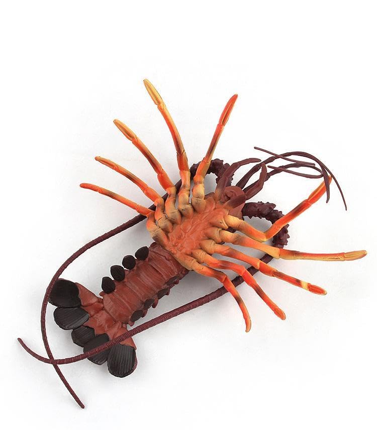 [Nekogamiyama] Spiny Lobster, Marine Life Figure, Model, Miniature, Ornament, Interior Decor, Collectible Model