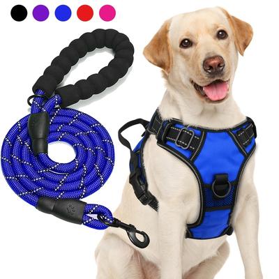 Hunde – Hundehalsbänder & Leinen