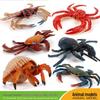 Hot-Selling Marine Animal Models: Hermit Crab, King Crab, Red Flower Crab, Sally Crab - Educational and Cognitive Science Ornaments for Kids