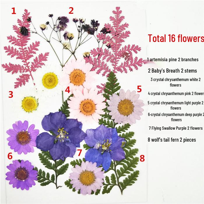 Handmade Kindergarten Collage: Real Dried Leaf and Flower Stickers for Face and Photo Decoration