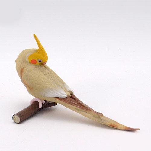 Good Morning Bird Series Gashapon Toys Budgerigar Cockatiel Lovebird Action Figure Model Ornaments Toys